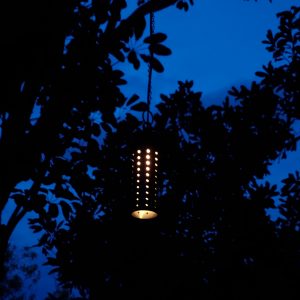 LED Pin-Hole Tree Light